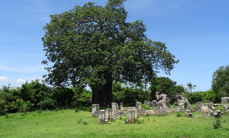 Kilwa Kisiwani World Heritage Site and Marine Resources Kilwa Kisiwani World Heritage Site and Marine Resources