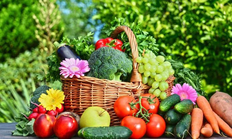 Tanzania boosts horticulture investment after summit Tanzania boosts horticulture investment after summit