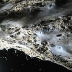 Giant Spider Web Found in Greek-Albanian Border Cave: Study Giant Spider Web Found in Greek-Albanian Border Cave: Study