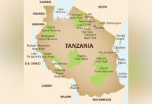 When one story becomes the whole story When one story becomes the whole story