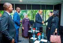 Tanzania-Korea investment partnership reaches new heights Tanzania-Korea investment partnership reaches new heights