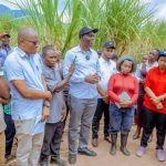 TARI Distributes 300 Tonnes of Sugarcane Seeds TARI Distributes 300 Tonnes of Sugarcane Seeds