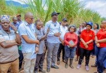 TARI Distributes 300 Tonnes of Sugarcane Seeds TARI Distributes 300 Tonnes of Sugarcane Seeds