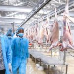 Tanzania launches goat, sheep fattening project Tanzania launches goat, sheep fattening project