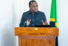 Tanzania Urges Private Sector Investment in Arts Culture Tanzania Urges Private Sector Investment in Arts Culture