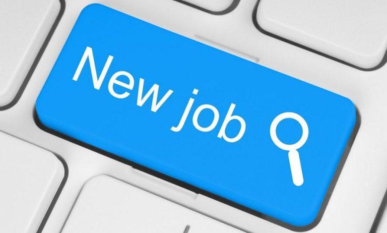 Tanzania Approves 41,500 Job Positions for 2025/26 Tanzania Approves 41,500 Job Positions for 2025/26