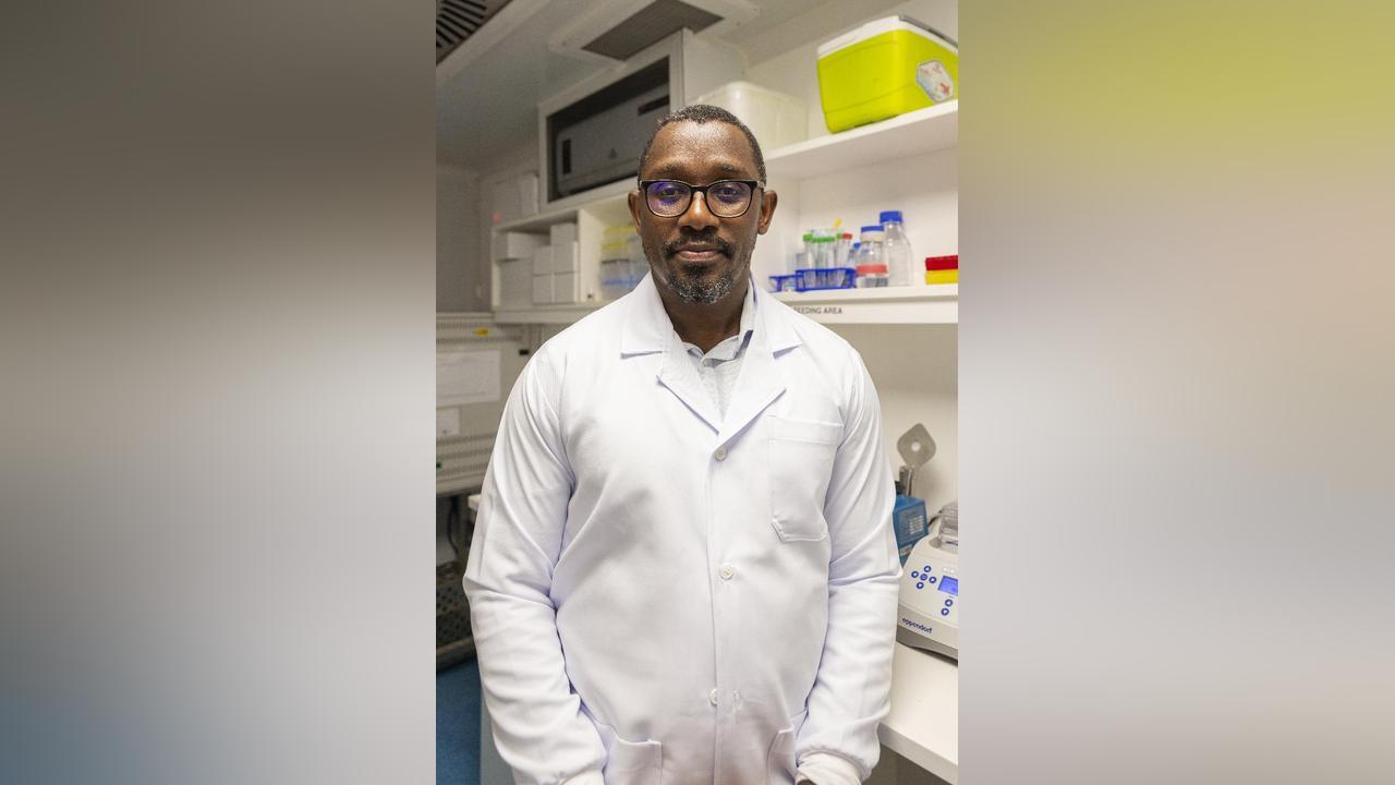 Tanzanian Scientists Develop Mosquitoes to Block Malaria Tanzanian Scientists Develop Mosquitoes to Block Malaria