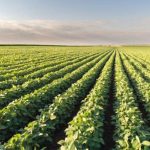 Stakeholders demand shift to agroecological farming for food safety Stakeholders demand shift to agroecological farming for food safety