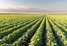 Stakeholders demand shift to agroecological farming for food safety Stakeholders demand shift to agroecological farming for food safety