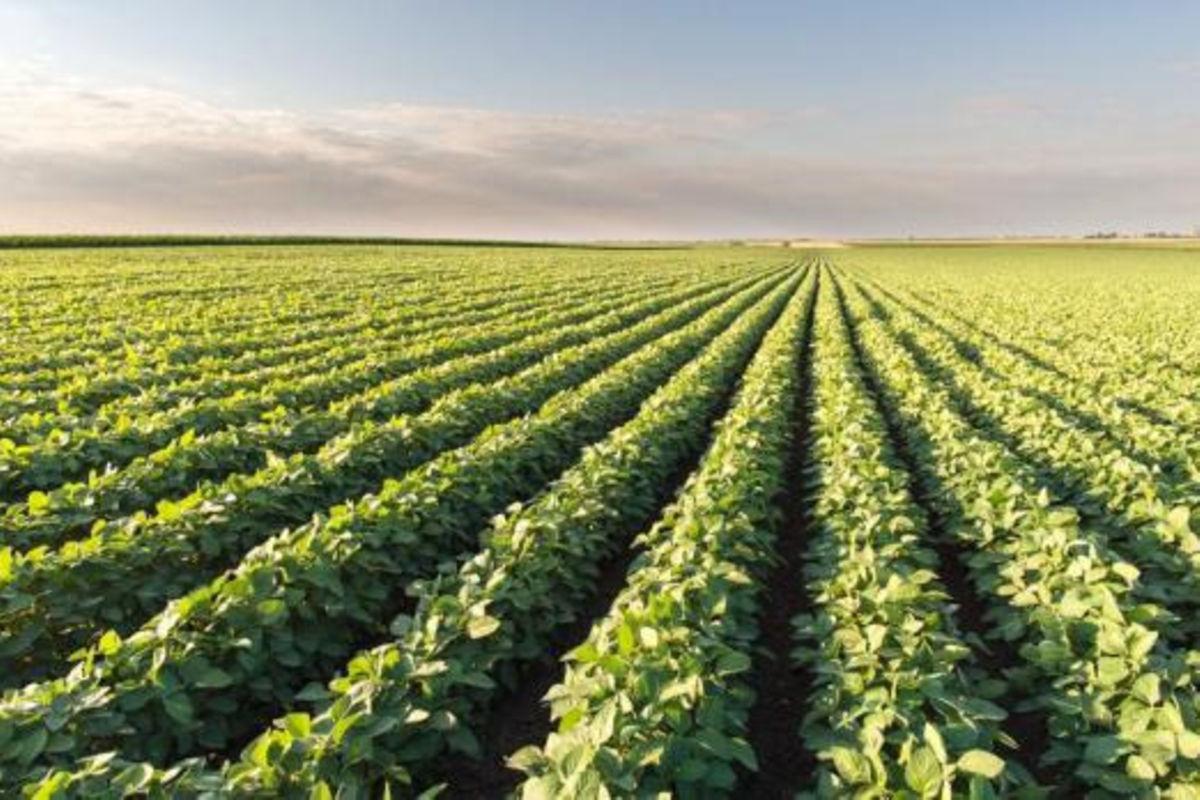 Stakeholders demand shift to agroecological farming for food safety Stakeholders demand shift to agroecological farming for food safety