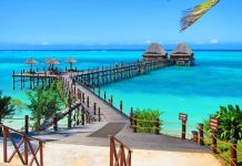 Serengeti Zanzibar Swim in October to December Surge Serengeti Zanzibar Swim in October to December Surge