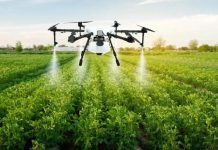 Govt eyes skilled workforce in agriculture Govt eyes skilled workforce in agriculture