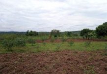 Tanzania Launches Nationwide Land Sector Improvement Exercise Tanzania Launches Nationwide Land Sector Improvement Exercise