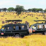 Serengeti Safaris raises flag on global stage Serengeti Safaris raises flag on global stage