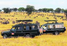 Serengeti Safaris raises flag on global stage Serengeti Safaris raises flag on global stage