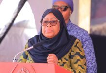 Samia’s 2025 Diplomacy Delivers Security Economic Gains Samia's 2025 Diplomacy Delivers Security Economic Gains