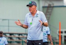 Gamondi confident in Stars Gamondi confident in Stars