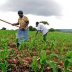 Tanzania’s TADB lends 12.1 bln/- to farmers in Zanzibar Tanzania’s TADB lends 12.1 bln/- to farmers in Zanzibar