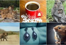 Year of the Bizarre: Shocking Global Events of 2025 Year of the Bizarre: Shocking Global Events of 2025