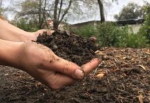 Demonstration farms get 22-tonne fertiliser boost Demonstration farms get 22-tonne fertiliser boost
