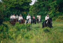 Arusha Named One of 2026’s Favorite Destinations Arusha Named One of 2026's Favorite Destinations