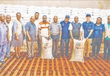 Harvesting Hope and Empowering Kibondo Farmers Harvesting Hope and Empowering Kibondo Farmers