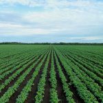 Youth Transform Agricultural Challenges Into Opportunities Youth Transform Agricultural Challenges Into Opportunities