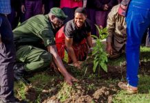 TFS eyes to plant 1,100 trees to honour Dr Samia’s birthday TFS eyes to plant 1,100 trees to honour Dr Samia’s birthday