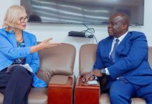 Tanzania, Norway Seek Stronger Carbon Trading Tanzania, Norway Seek Stronger Carbon Trading