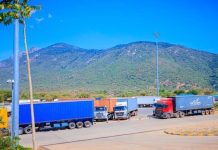 Tanzania Evaluates Namanga Border Post Performance Tanzania Evaluates Namanga Border Post Performance