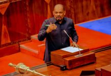 Tanzania Embraces Modern Technology for Wildlife Protection Tanzania Embraces Modern Technology for Wildlife Protection