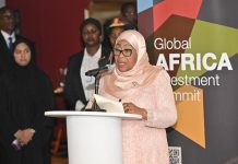 Tanzania unveils secrets of appealing global investments Tanzania unveils secrets of appealing global investments