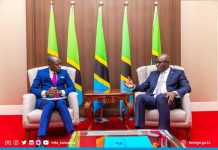 Tanzania’s Kiswahili Efforts for Global Economic Gains Tanzania's Kiswahili Efforts for Global Economic Gains