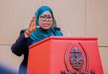 Tanzania, UAE eye stronger ties Tanzania, UAE eye stronger ties