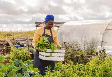 Agriculture, industry, services to power growth Agriculture, industry, services to power growth