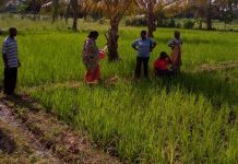 Zanzibar Settles 373 Land Dispute Cases Zanzibar Settles 373 Land Dispute Cases