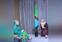 Tanzania regional peace model-UN Tanzania regional peace model-UN