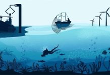 Blue economy cooperation set to spur development Blue economy cooperation set to spur development