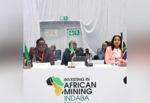 Investors Seek Partnership for Tanzania Mineral Processing Investors Seek Partnership for Tanzania Mineral Processing