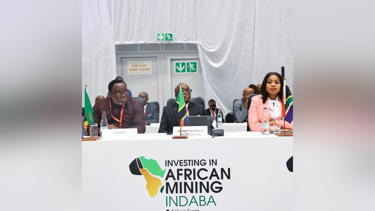 Investors Seek Partnership for Tanzania Mineral Processing Investors Seek Partnership for Tanzania Mineral Processing