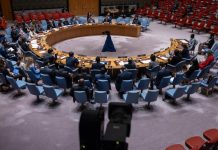 Analysts Optimistic about Tz’S 2029 UN Security Council Seat Analysts Optimistic about Tz’S 2029 UN Security Council Seat