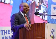 Tanzania Bans Public Servants From Using Personal Airmail Tanzania Bans Public Servants From Using Personal Airmail