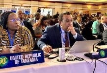 Tanzania Details Clean Energy Campaign at SADC Conference Tanzania Details Clean Energy Campaign at SADC Conference