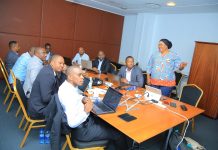 Tanzania’s Double Taxation Agreements and Investment Balance Tanzania's Double Taxation Agreements and Investment Balance