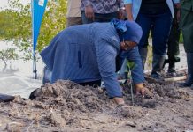 Lindi Plants 1.2 Million Trees for Forestry Day Lindi Plants 1.2 Million Trees for Forestry Day