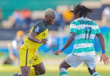 Yanga Stagger with Draw Hoodoo Yanga Stagger with Draw Hoodoo