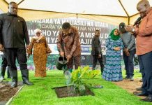 Forestry’s Role in Tanzania’s Tobacco Economy Forestry's Role in Tanzania's Tobacco Economy