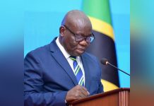 Tanzania Public Debt Rises to 110 Trillion Shillings Tanzania Public Debt Rises to 110 Trillion Shillings