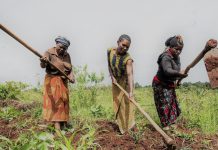 Made in Tanzania, Built for Africa: the Rise of Imara Tech Made in Tanzania, Built for Africa: the Rise of Imara Tech