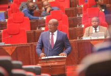 Tarime earmarked as strategic hub for cross-border industry Tarime earmarked as strategic hub for cross-border industry